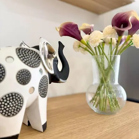 The Modern Cocoon - Novo De 2 Quartos *