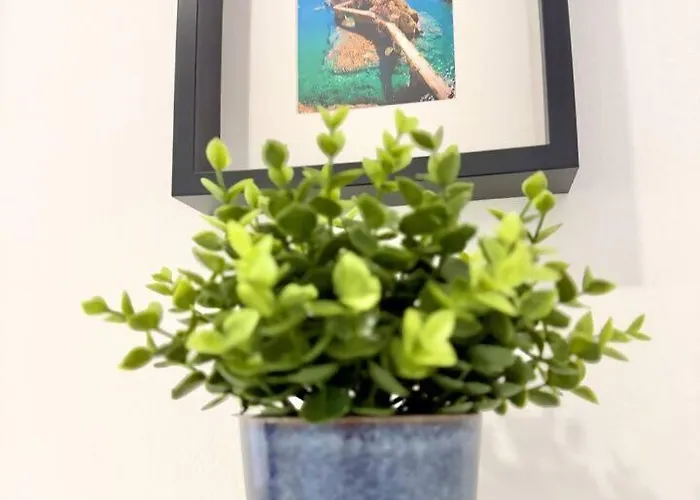 The Modern Cocoon - Novo De 2 Quartos